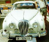 daim25.jpg (9277 bytes)
